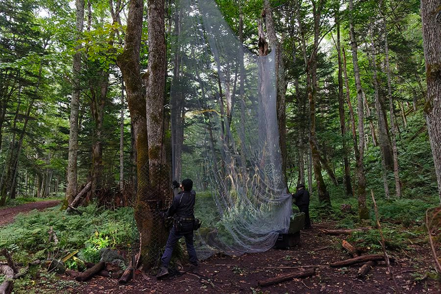 案例｜凯发k8国际为壮观的Kamuy Lumina魔法夜行旅游项目提供配乐设备